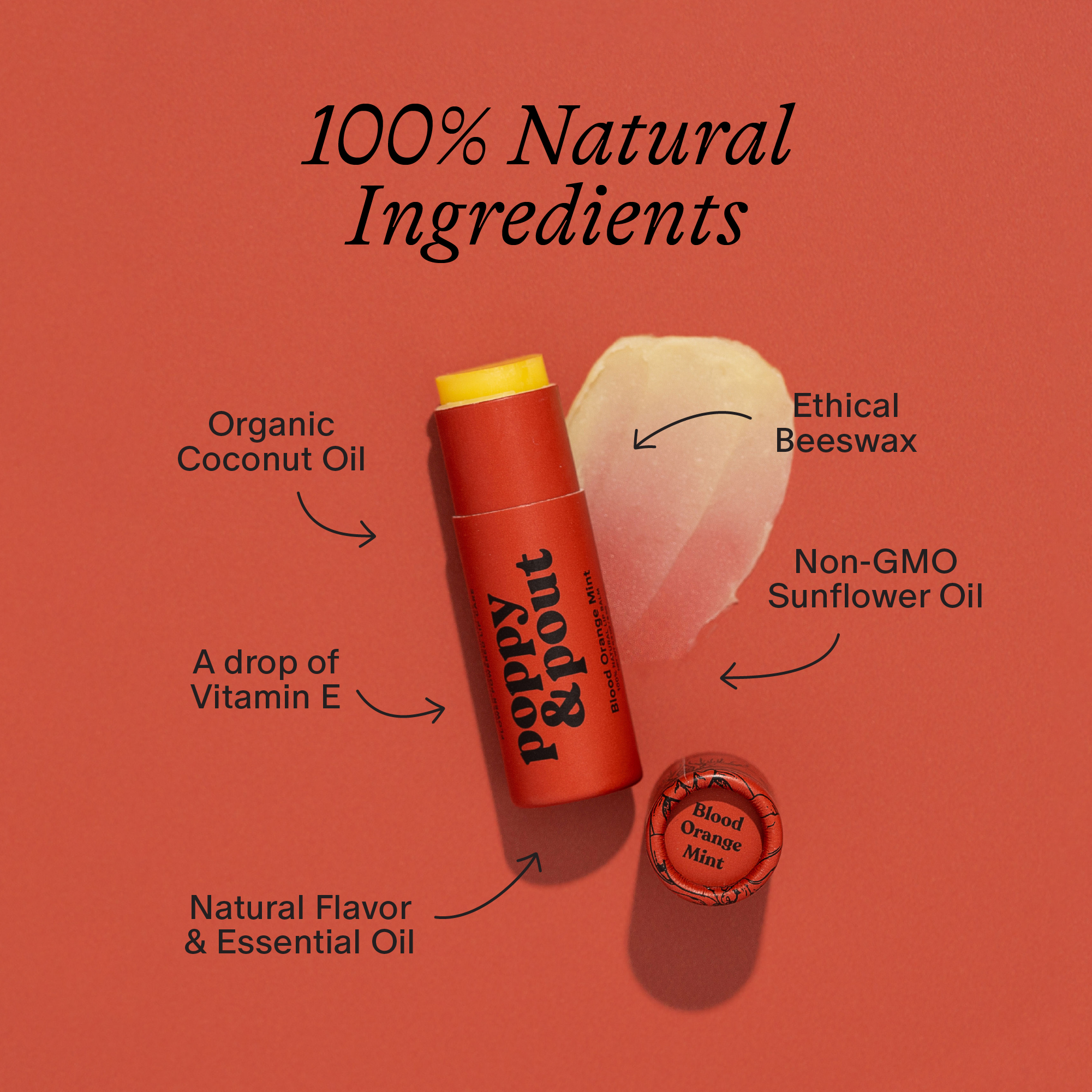Poppy & Pout - Wholesale Lip Balm - Lip Balm, Blood Orange Mint3