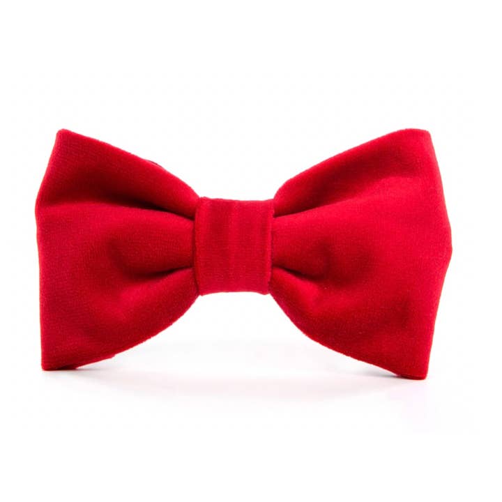Cranberry Velvet Day Dog Bow Tie for wholesale by The Foggy Dog