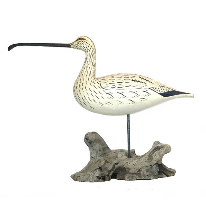Curlew Shorebird for wholesale by Three Points Design