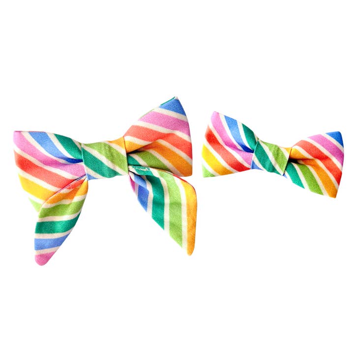 Über dem Regenbogen Katzenschleifen für den Großhandel von Fetch Mart