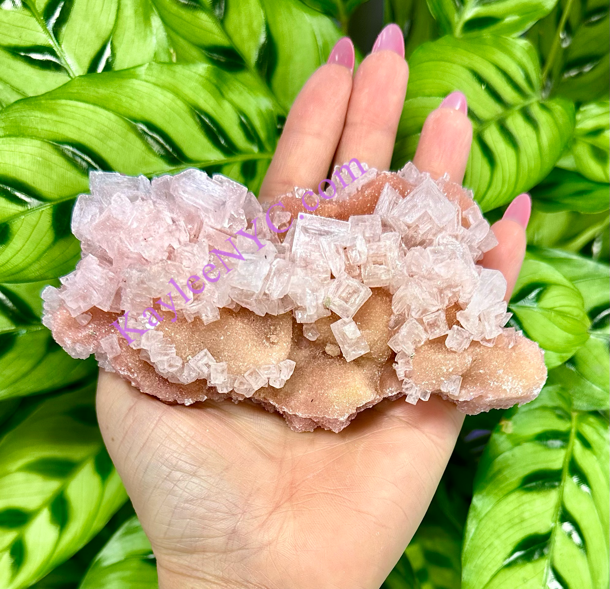 KayleeNYC - Wholesale Spiritual Stone/Crystal - Natural Pink Halite Specimen Raw Crystal8