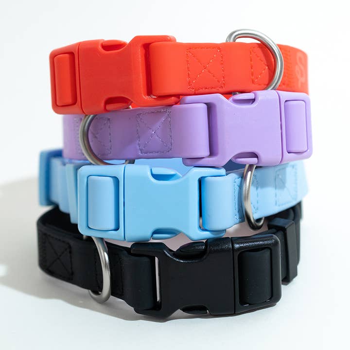 Springland Pets - Vendita all'ingrosso Collare - Cani - Collare per Cani - Tutte le Stagioni, Regolabile (Confezione Mista da 4)0