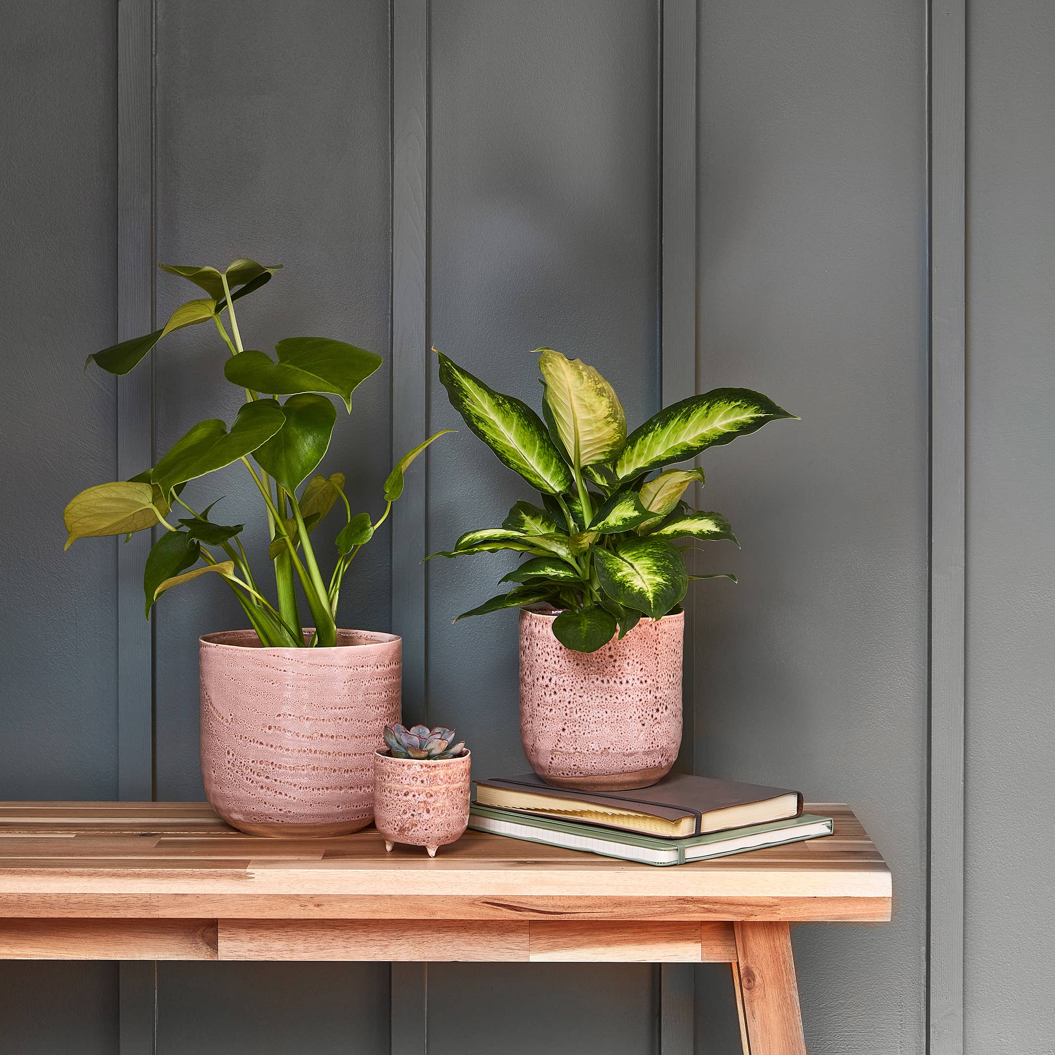 Ivyline - Vente Pot pour plante d'intérieur - Jardinière d'intérieur en céramique à glaçure réactive H16 cm x D16 cm7