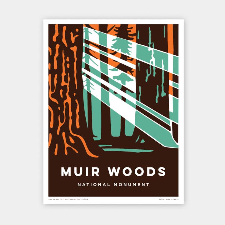 Muir Woods Sun Rays 12 x 16 unframed print for wholesale by Sweet Bippy Press