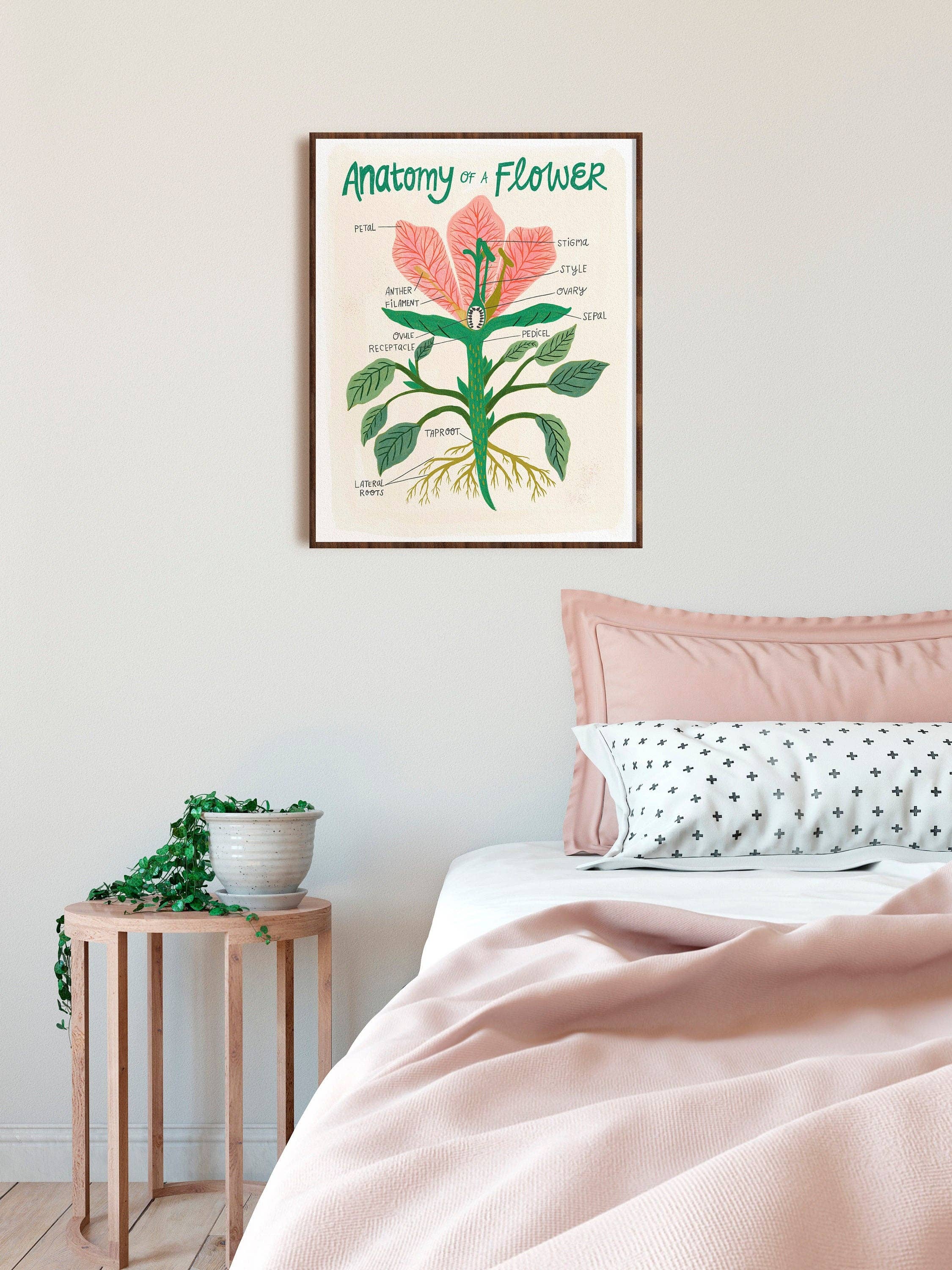 Dream Folk Studio - Wholesale Art Print - Flower Anatomy - Art Print3