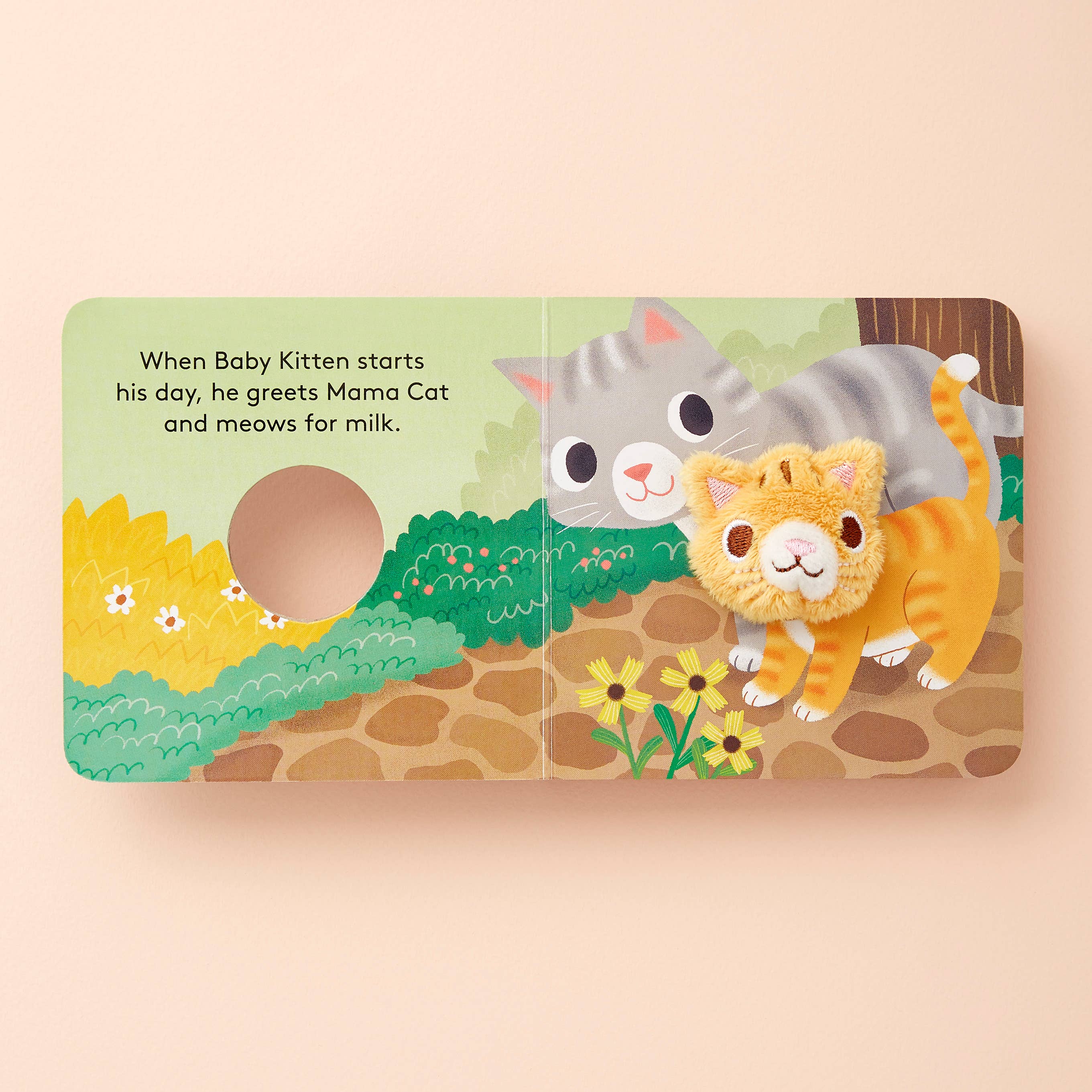 Chronicle Books - Wholesale Baby & Toddler Book (0-2) - Baby Kitten4