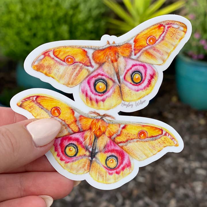 Hayley Wilson - Wholesale Sticker - Emperor Moth - Sticker