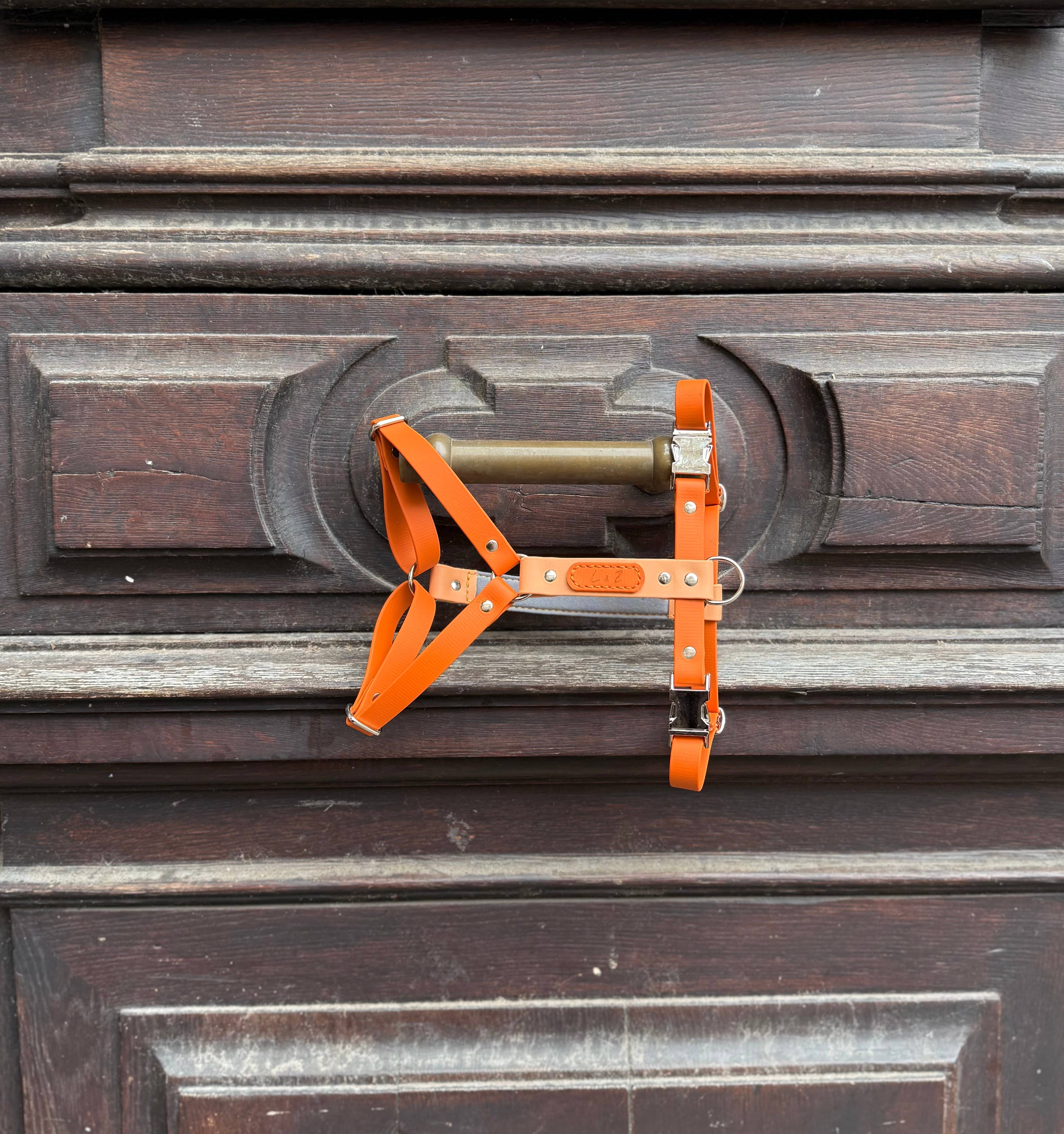 L&Z Dogwear - Wholesale Pet Harness - Dog - Hypoallergenic waterproof harness SIENNA - Biothane®1