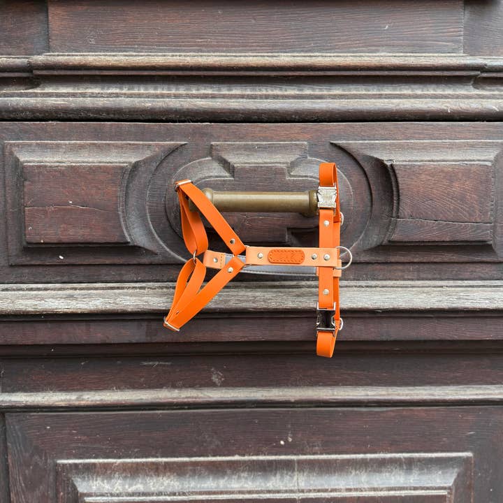 L&Z Dogwear - Wholesale Pet Harness - Dog - Hypoallergenic waterproof harness SIENNA - Biothane®1