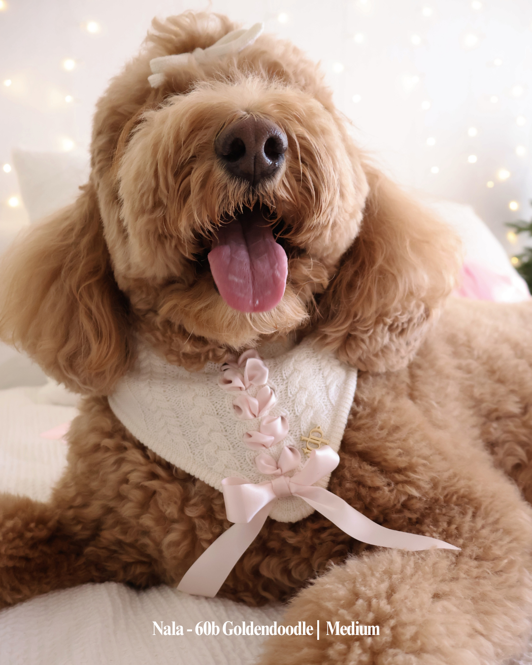 The Deluxe Pup - Vente Bandana – chien - BANDANA | CLARA BOW2