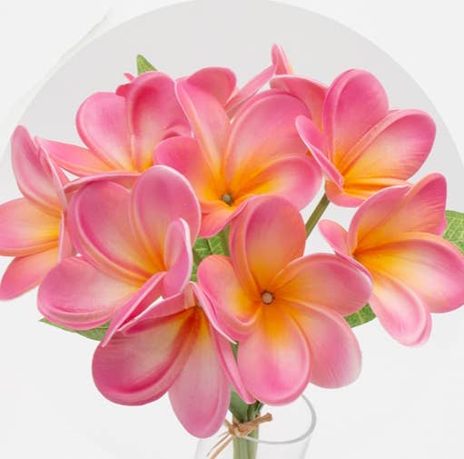 Angel Isabella – wholesale Konstgjorda blommor – 10-stjälkar bunt - Ultra realistisk tropisk plumeria frangipani6
