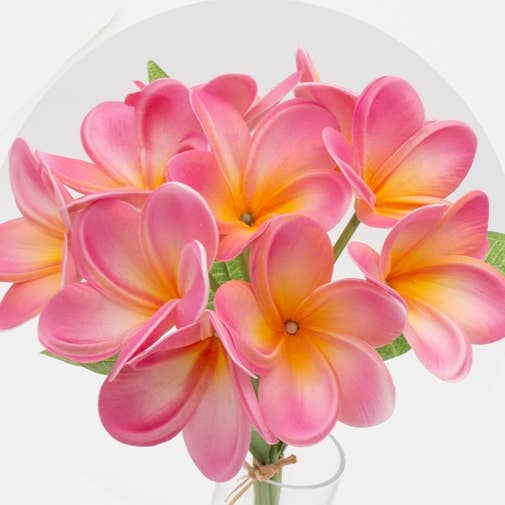 Angel Isabella - Wholesale Artificial flowers - 10Stems Bundle-Ultra Realistic Tropical Plumeria Frangipani6