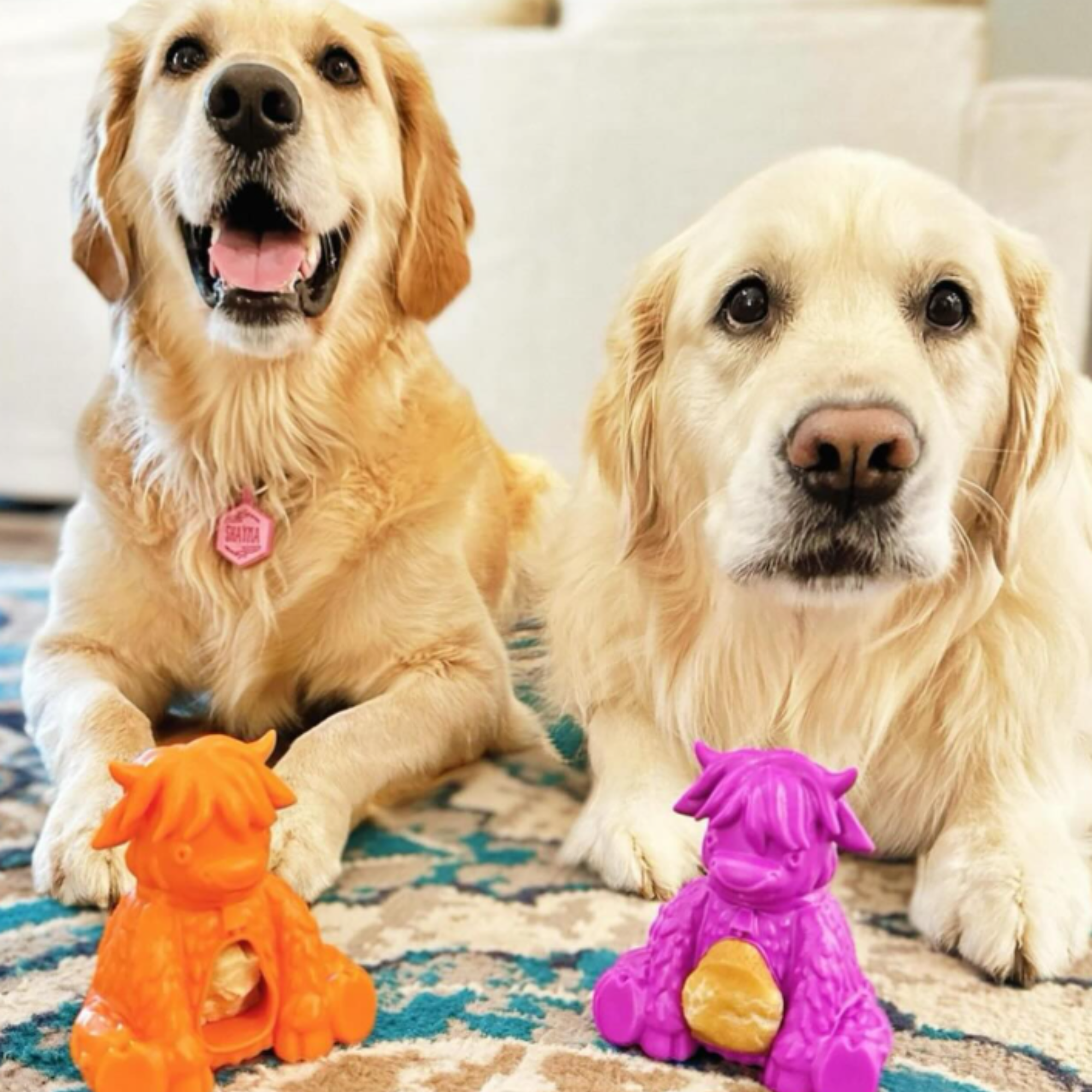 Yeti Dog Chew - Wholesale Pet Chew Toy - Dog - Puff & Play Starter Kit-Yak3