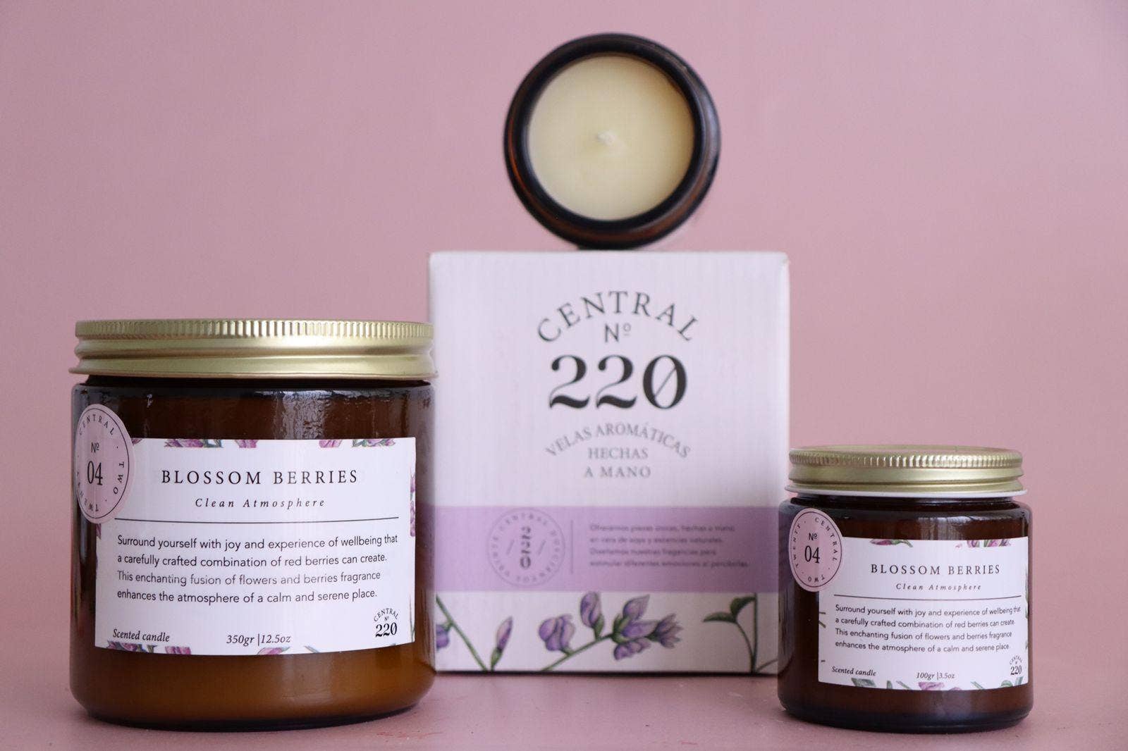 Central 220 - Wholesale Jar/Filled Candle - 04 | Joy | Blossom Berries  | Scented Candle4