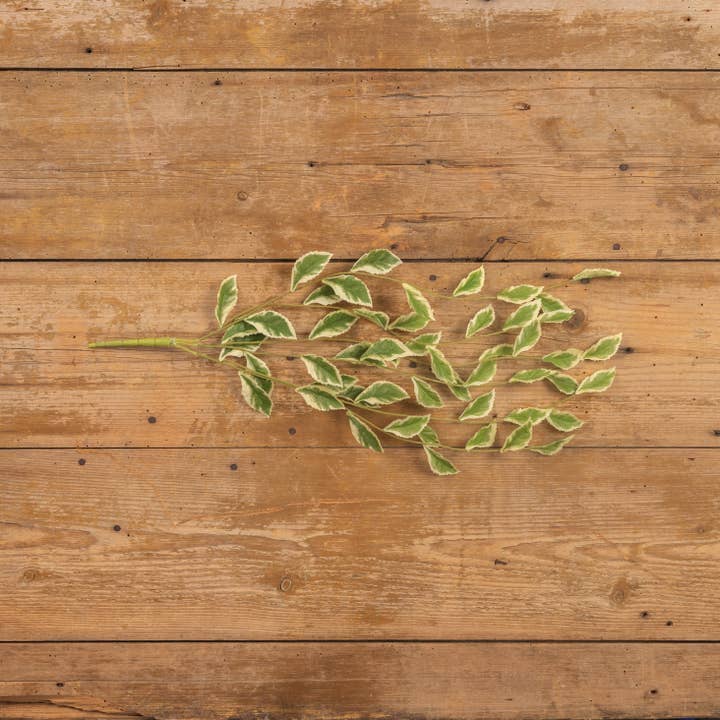 Ragon House - Wholesale Artificial Plant - 24" POTHOS LEAF VINE