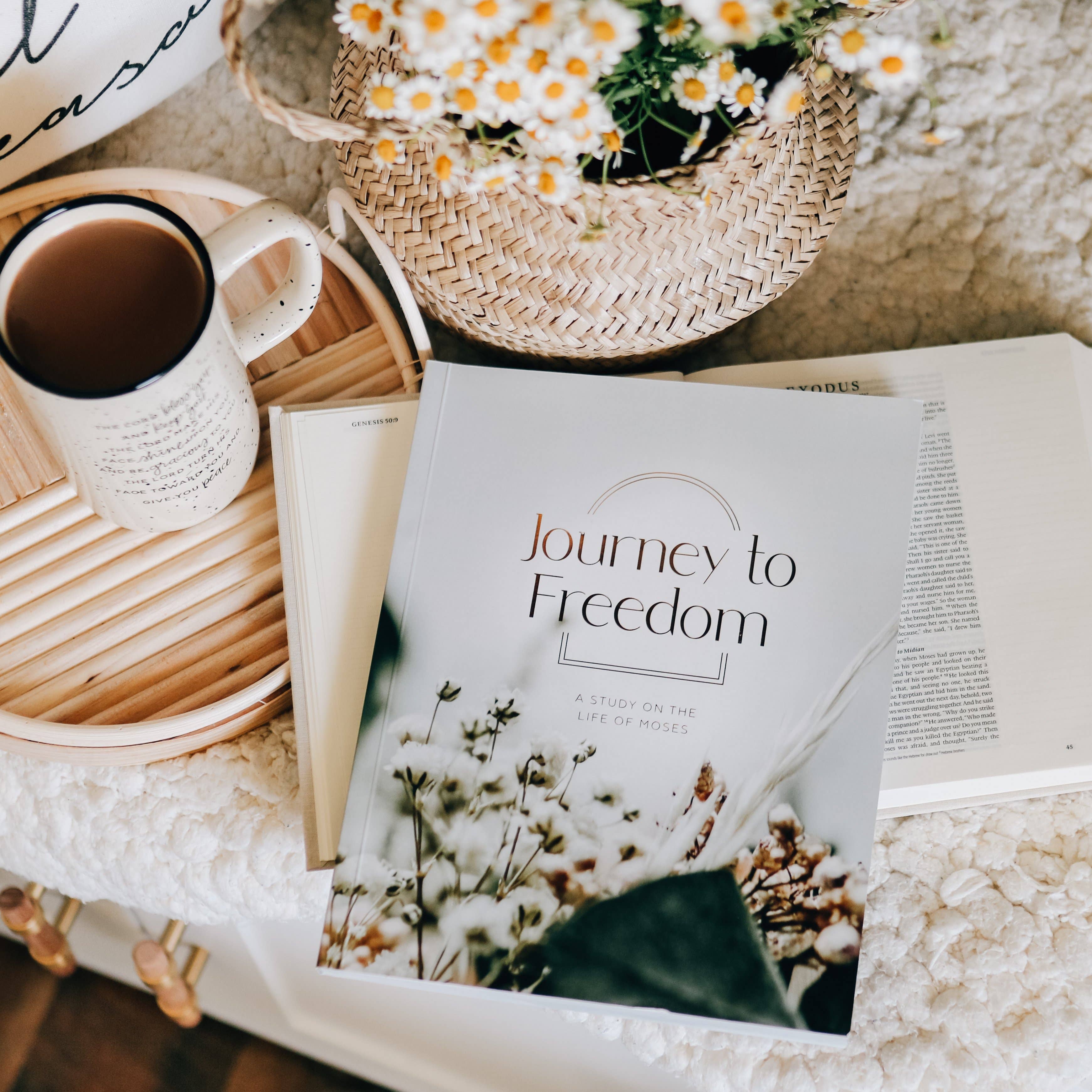 The Daily Grace Co - Wholesale Religion - Journey to Freedom | The Life of Moses7