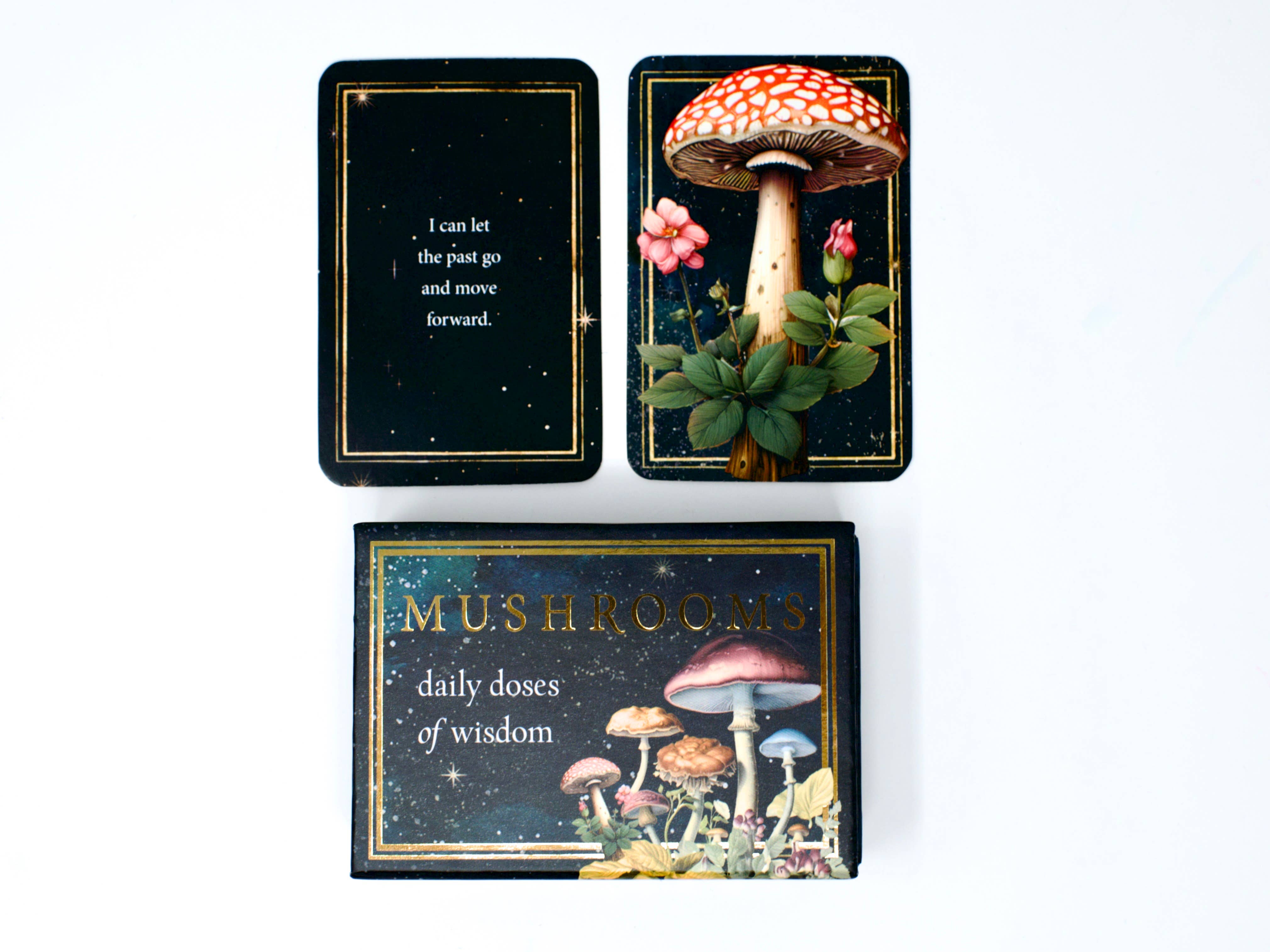Red Wheel/Weiser LLC - Wholesale Tarot Cards - Mushrooms: Daily Doses of Wisdom (36 Gilt-Edged Mini Cards)13