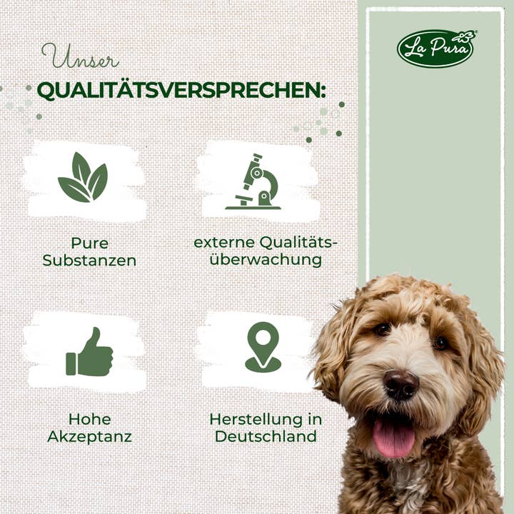 Kauartikel.com GmbH – Suplemento de animal de estimação - Gato e cão por atacado – LaPura mexilhão com lábios verdes em pó 250g6
