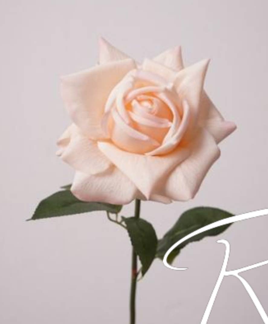 Pickadilly's - Wholesale Artificial Flowers - Real Touch Blush Rose 1