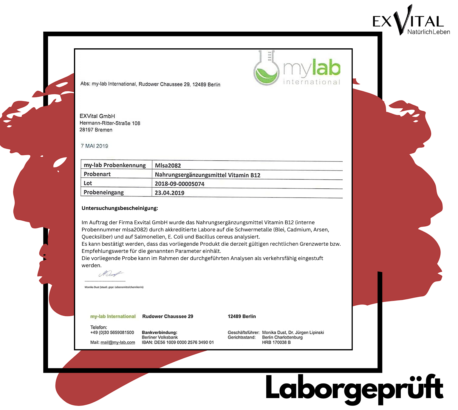 EXVital - Wholesale Voedingssupplement/vitamine - Vitamine B12 (Methylcobalamine) druppels hoge dosering6