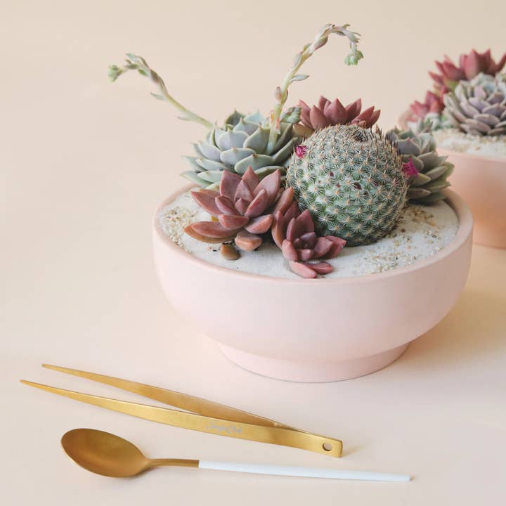 Jungle Club - Vente Outil de jardinage - Pincettes en laiton pour plantation