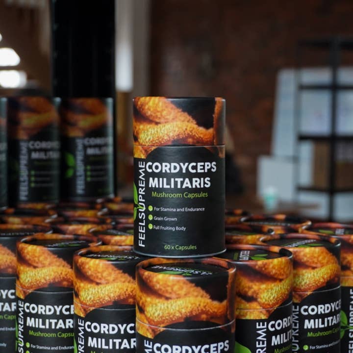Feel Supreme – Engroshandel Kosttilskud og vitaminer – Cordyceps Militaris svampekapsler | Naturlig energi
