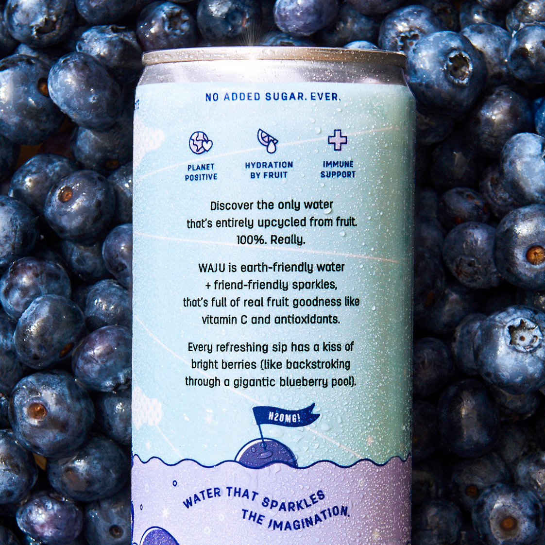 WAJU Water - Wholesale Sparkling Water - Blueberry Water from Fruit | Sparkling Water | Antioxidants7
