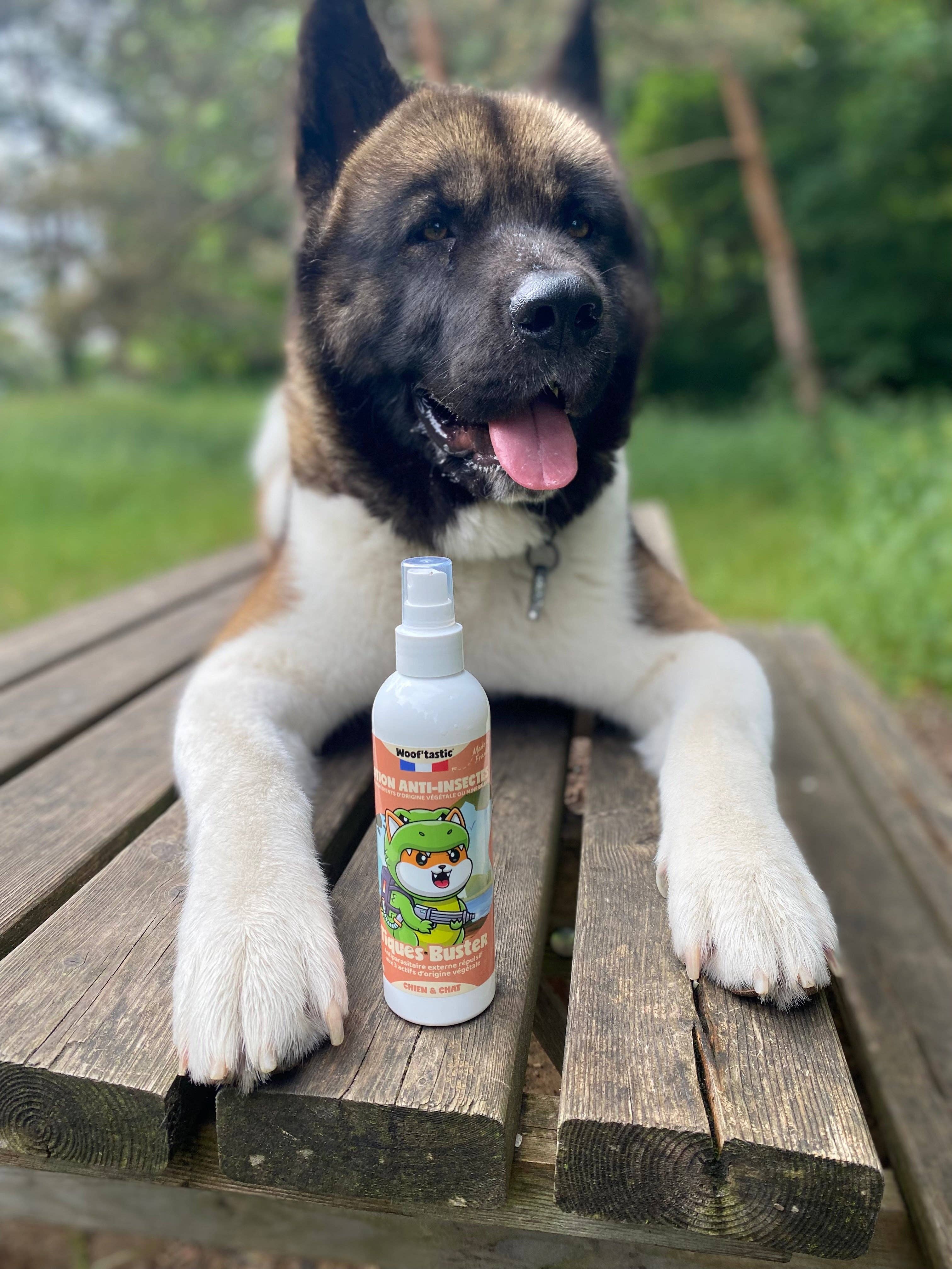 Woof’tastic - Venta al por mayor Spray para garrapatas/pulgas - Tick Buster: loción antiparásitos natural para perros y gatos1