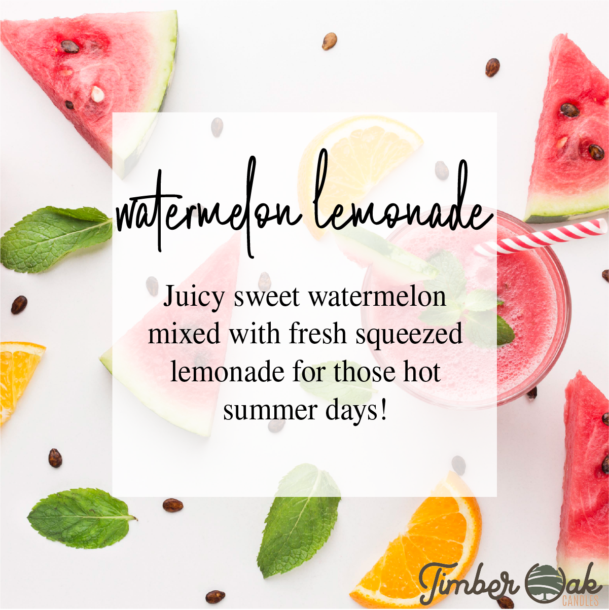 Timber Oak Candles - Wholesale Jar/Filled Candle - BEST TEACHER EVER | 8oz Mason Jar | 100% Pure Soy Candles4