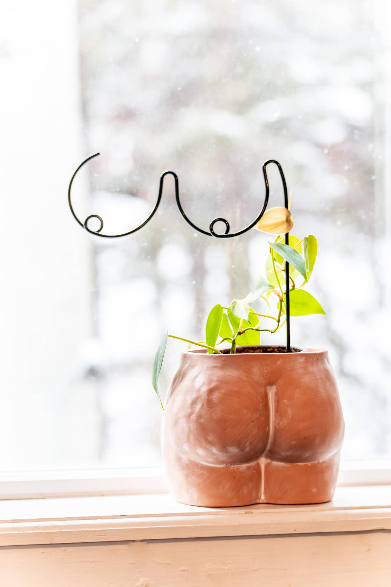 Simply Supplied Co – wholesale Trellis – Trellis for Houseplants, Boobies Design, Funny Plant Person1
