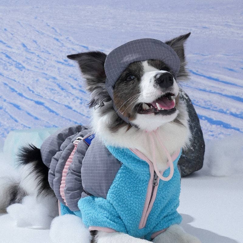 Puppy Gallery - Wholesale Pet Hat - Dog - Ear Cover Fleece Hat5