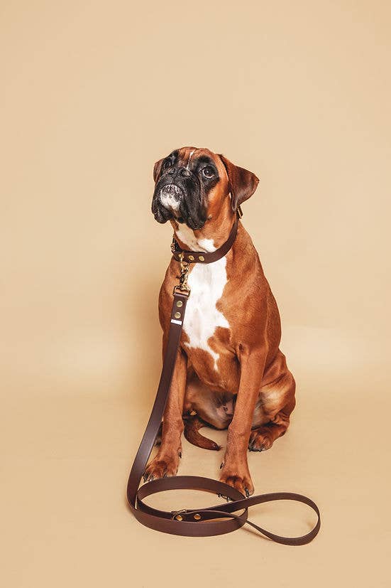 Pompon & Pets - Wholesale Pet Collar - Dog - Chocolate Collar - Biothane1