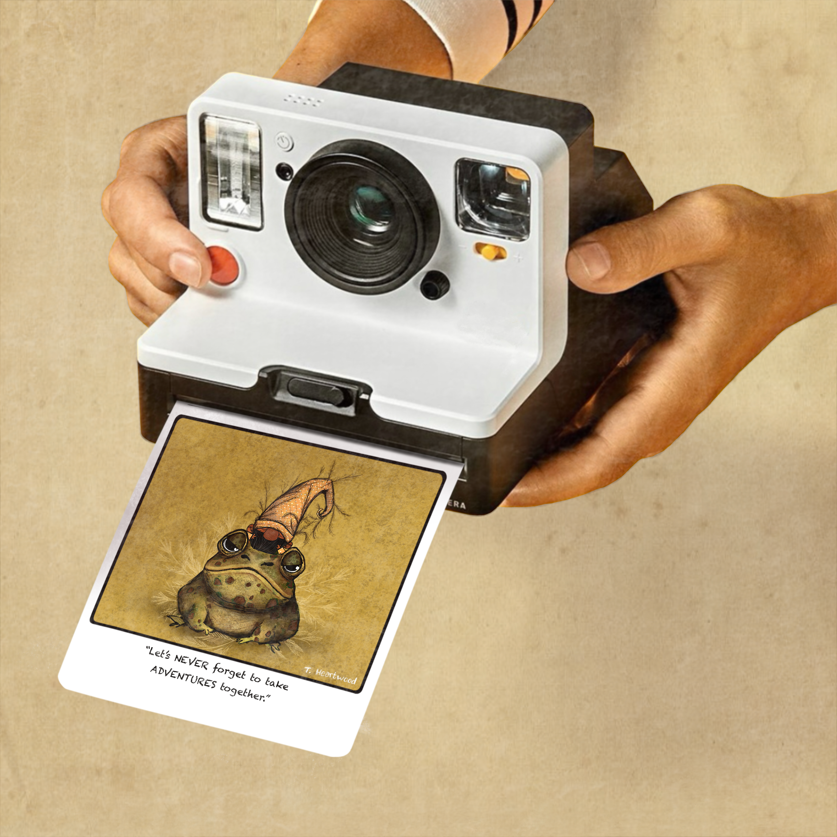 Dafri Studios – wholesale Encouragement card – Adventures Together “Gnome&Toad” Polaroid Collection1