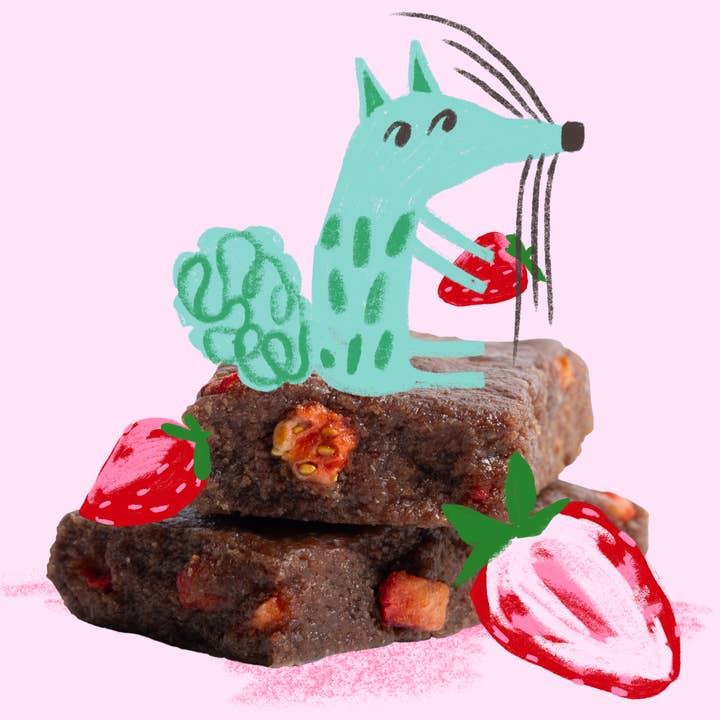 Happy Wolf - Wholesale Snack Bar - Happy Wolf Organic Kids Snack Bars - Strawberry5