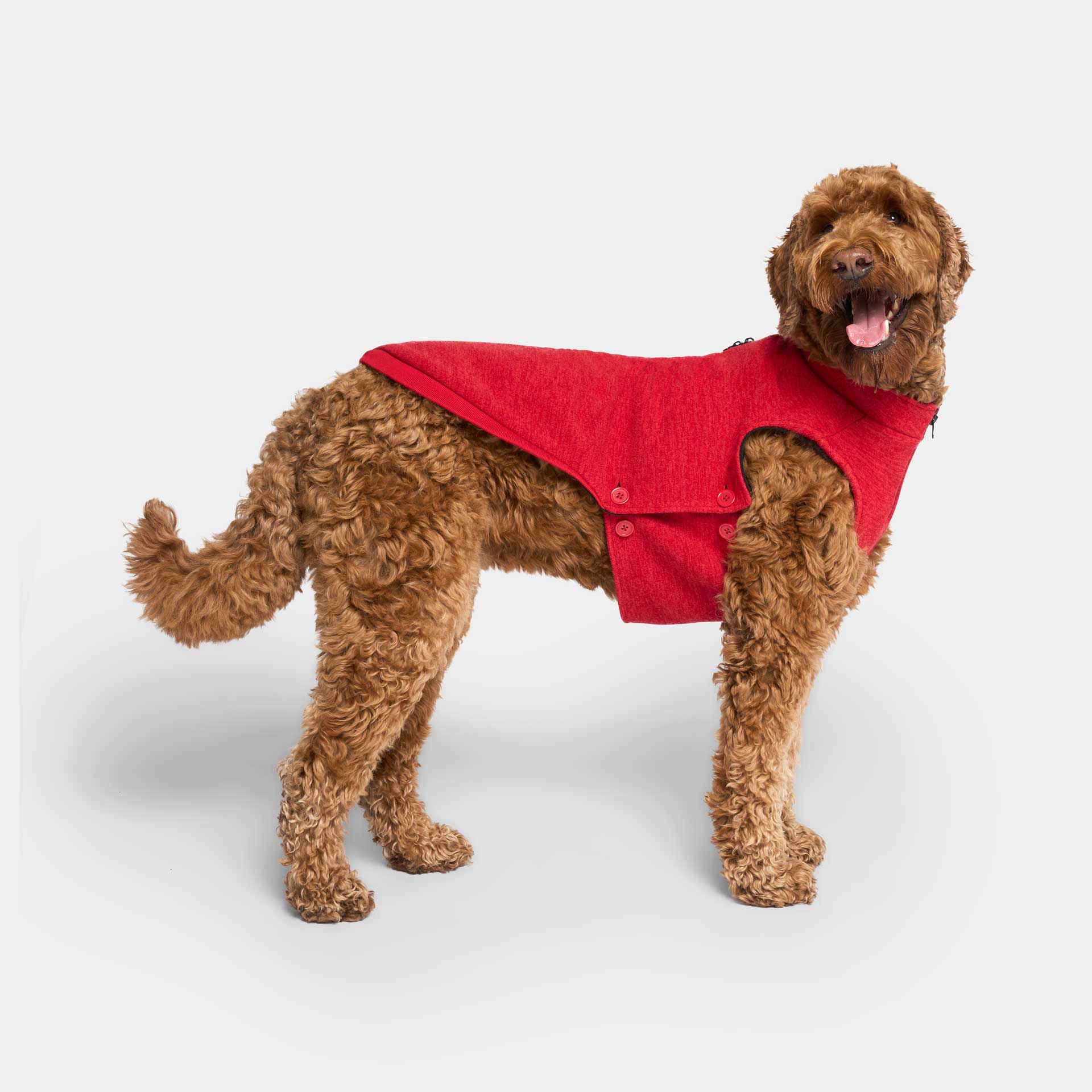 Canada Pooch – camisola - Cão por atacado – Suéter impermeável para cachorro6