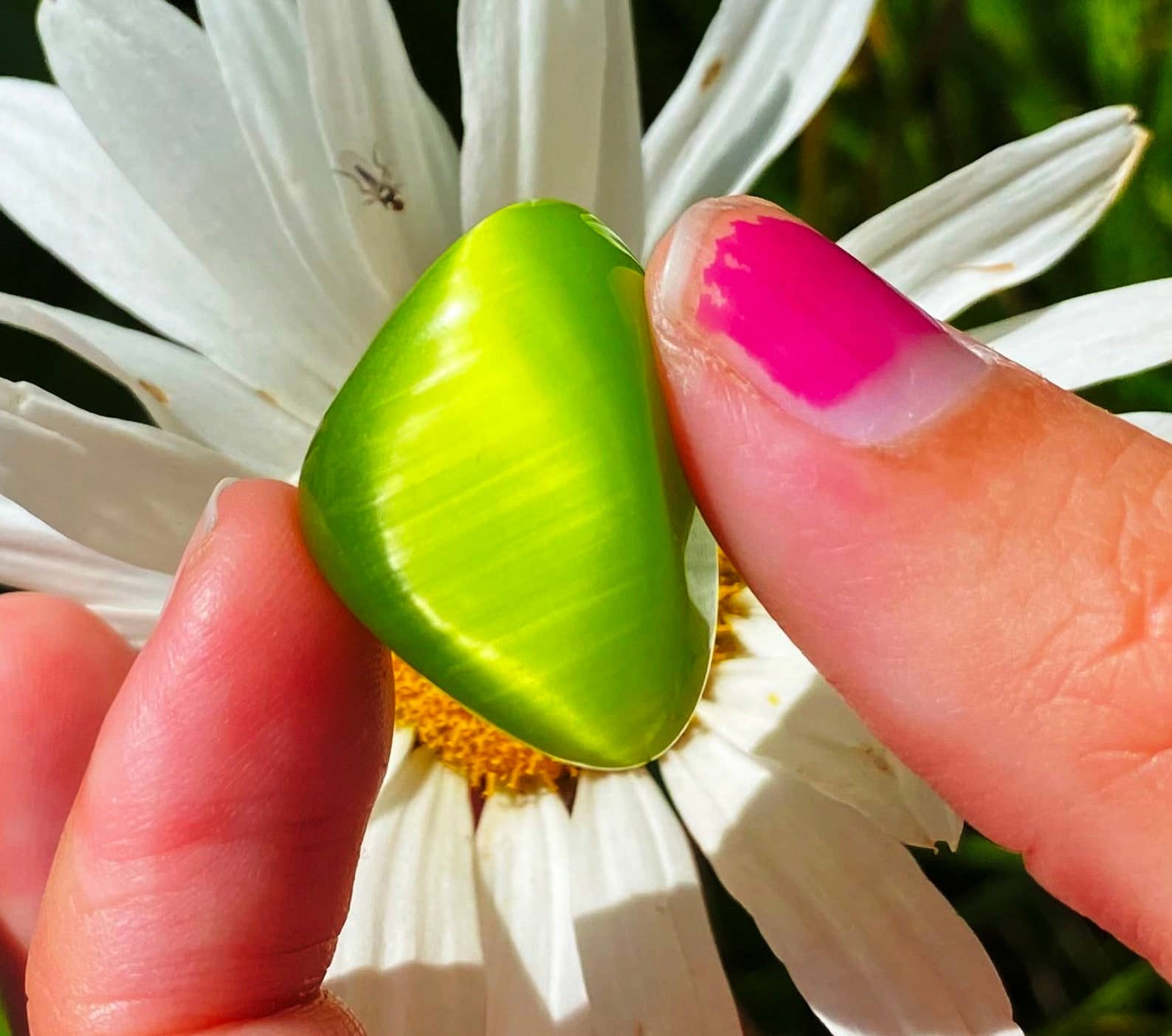 Elf Kendal Hippies – Engroshandel Spirituelle sten og krystaller – Katteøje tromlet 15-25mm sten af alf regnbue katteøje ædelstene7