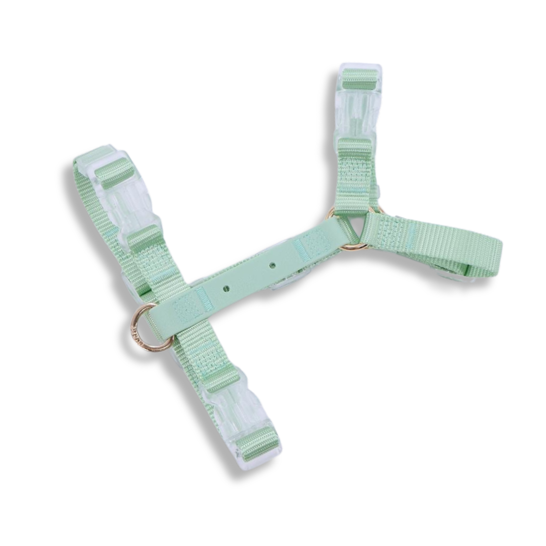 Furei Pets - Vente Harnais – chien - Harnais Moodies3