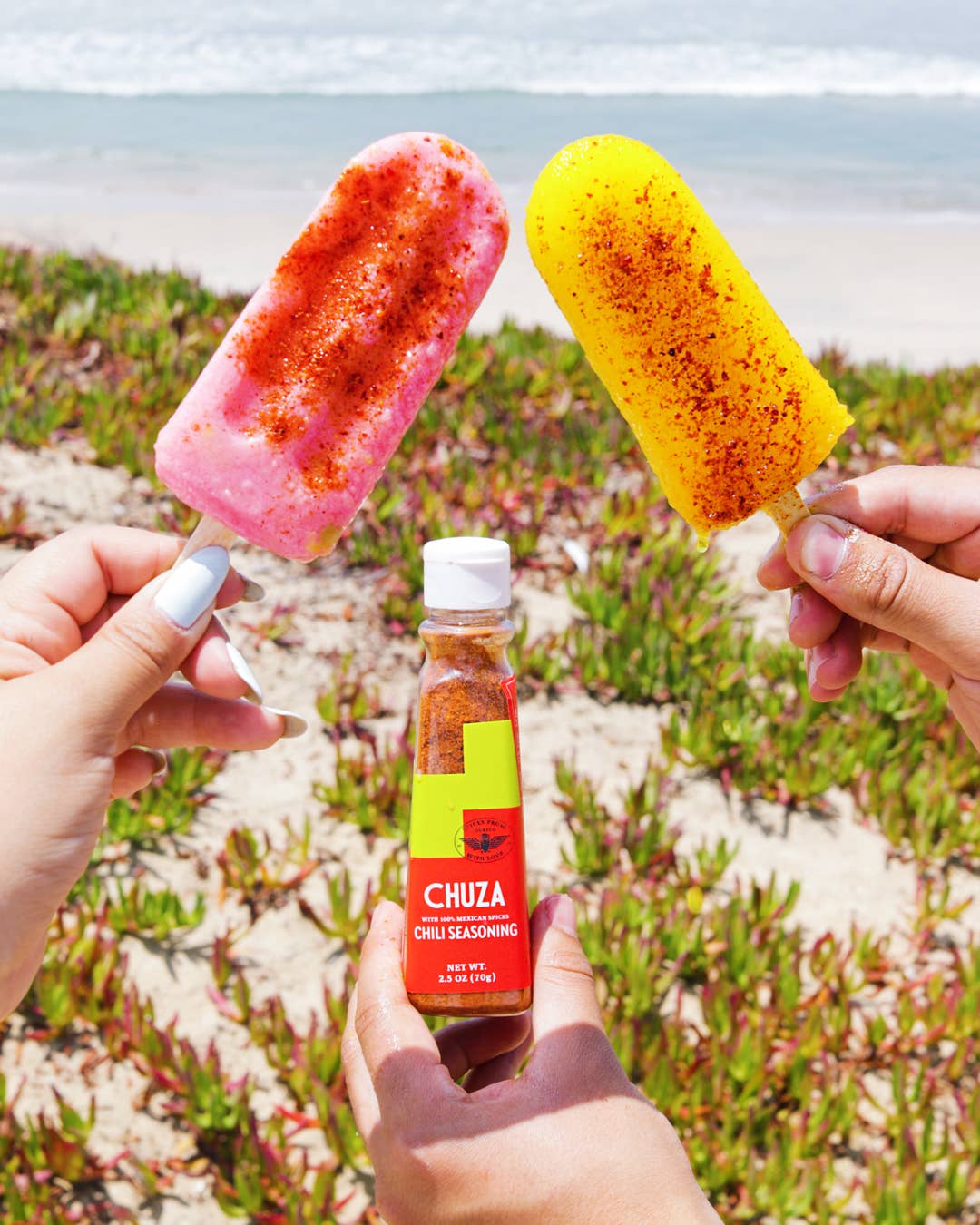 CHUZA - Wholesale Dried Spice Mix - CHUZA | Chili Seasoning | 100% Mexican Spices9