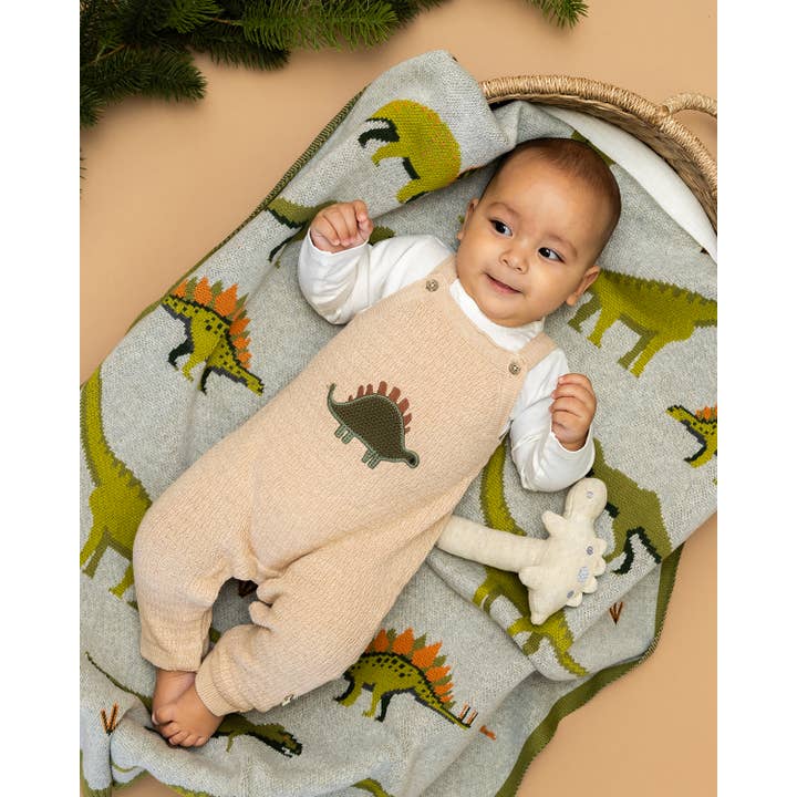 Oatmeal Heather Dino Embroidered Baby Knit Overall Set (Organic) for wholesale on Faire2