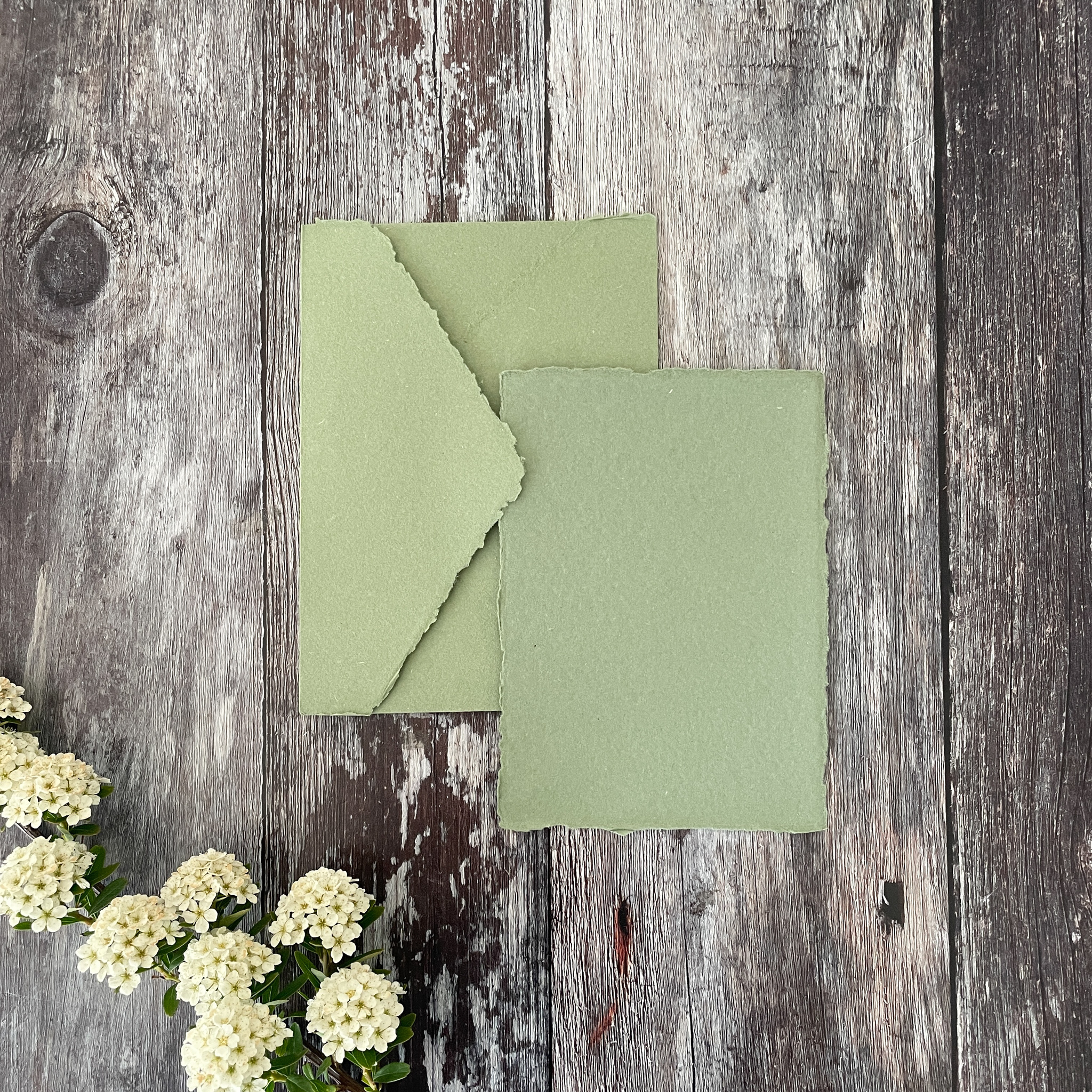 The Natural Paper Company – wholesale Envelopes – Sage Green Handmade Paper Envelope | Recycled Cotton Rag1