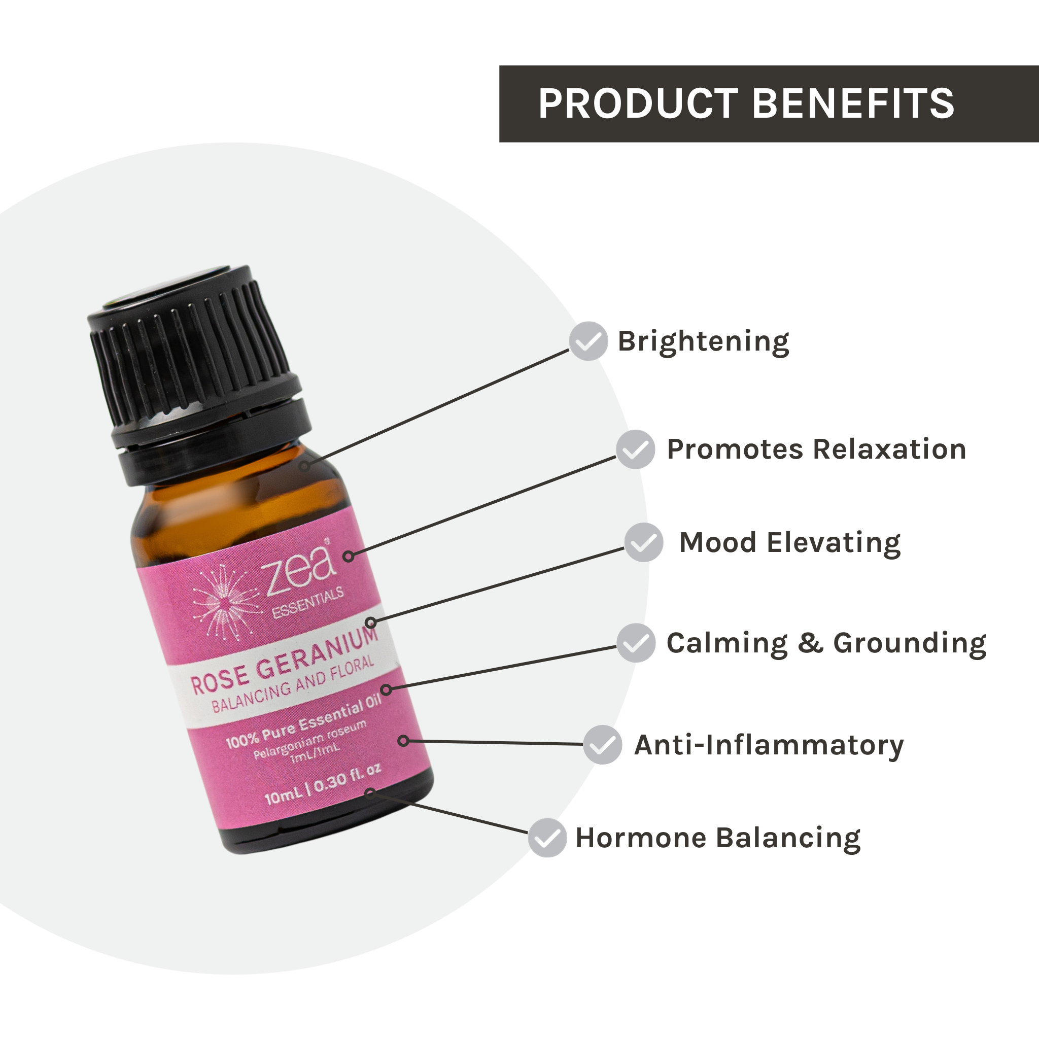 Zea - Wholesale Essential oil - Rose Geranium Essential Oil3