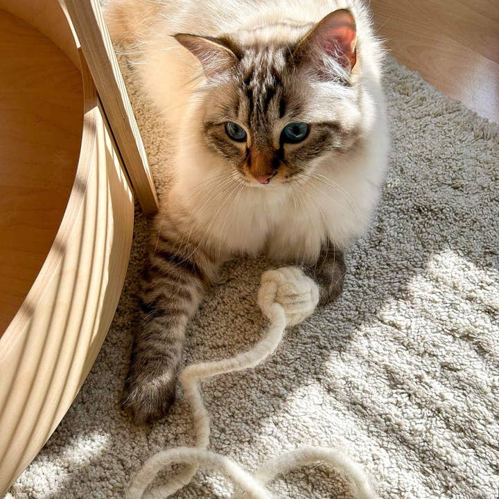 The Catery - Wholesale Pet Toy - Cat - Cat toy angel monkey fist