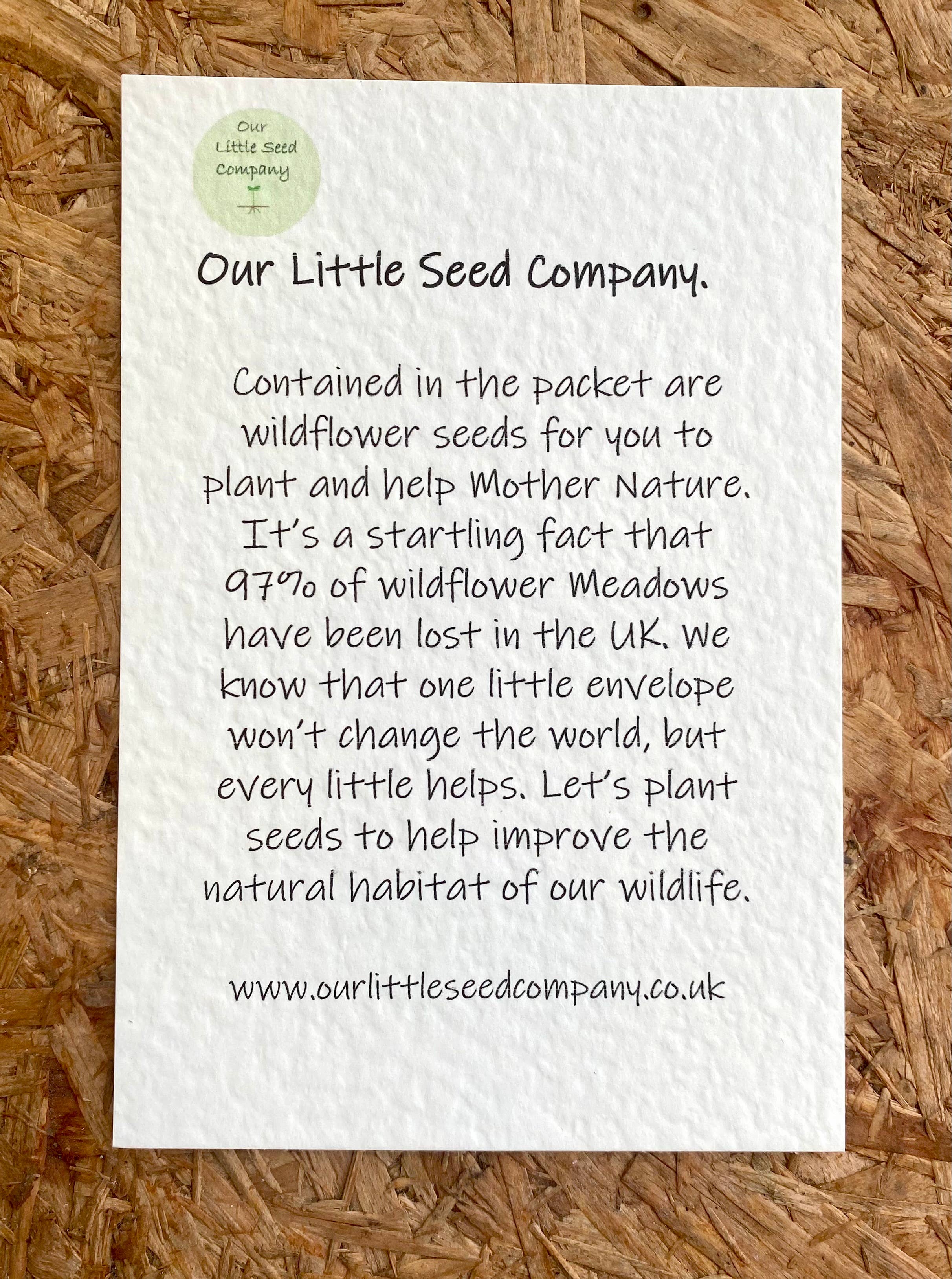 Our Little Seed Company - Wholesale Plant seeds - Wildflower Seed Envelope - Sunflower Friendship (pack of 6)2