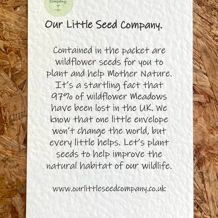Our Little Seed Company - Wholesale Plant seeds - Wildflower Seed Envelope - Sunflower Friendship (pack of 6)2