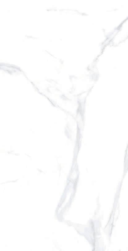 Thomas Avenue Ceramics - Wholesale Wall Tile - 12"x24" Porcelain Calacatta Cool Floor and Wall Tile4