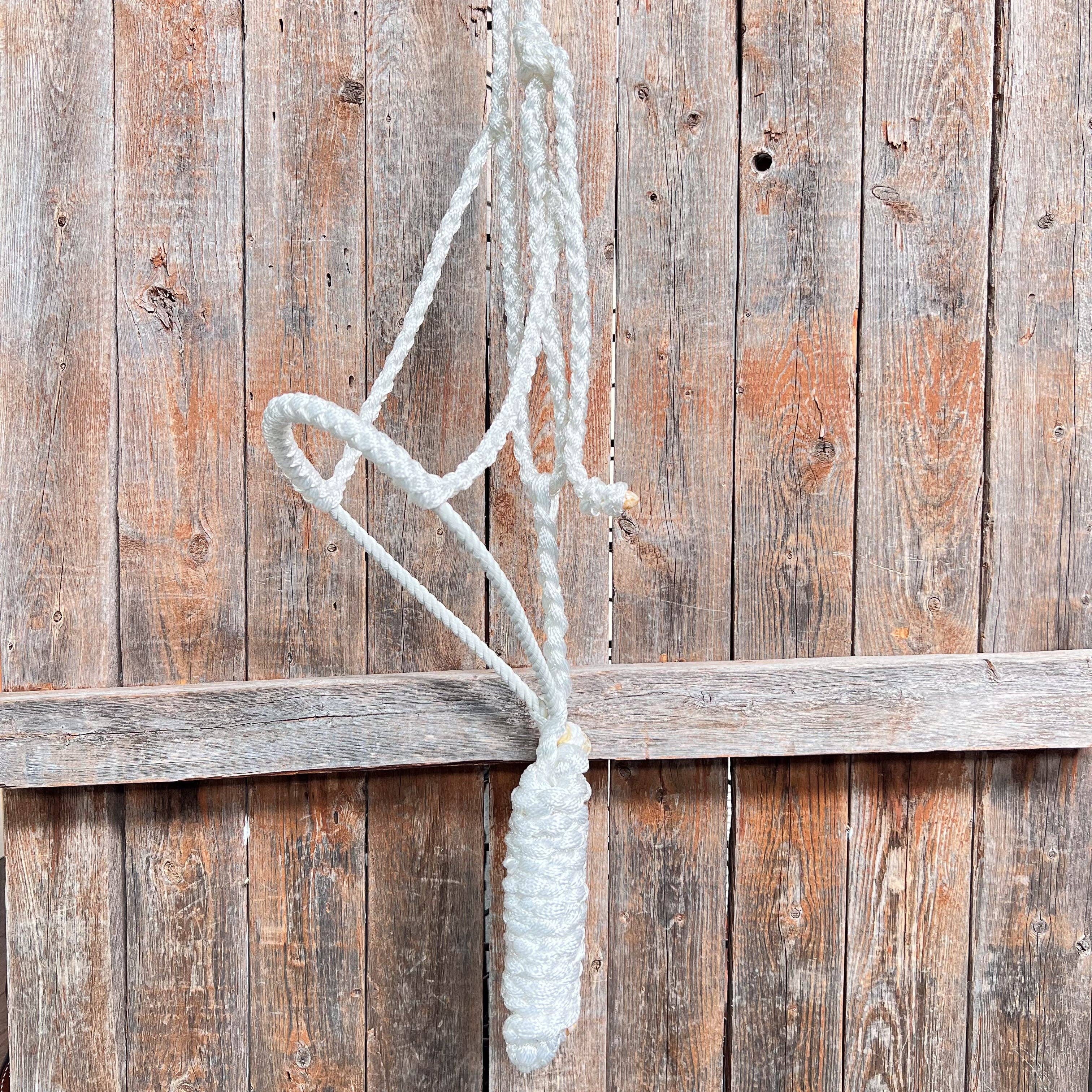 Rodeo Drive - Wholesale Horseback Riding Gear - Lariat Mule Tape Halters - Assorted Double Colors-0