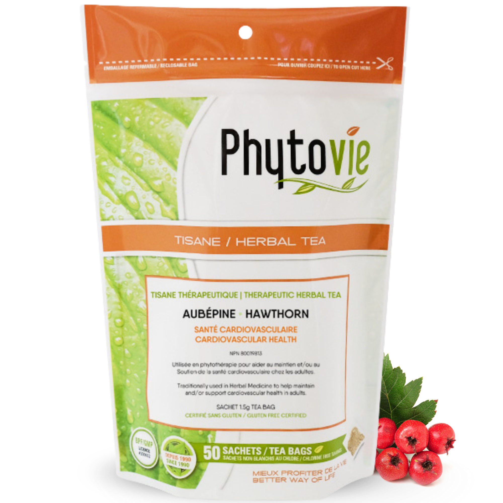 REMOVED BRAND - Wholesale Health/Detox Tea - Hawthorn | Cardiovascular Health | 50 Sachets0