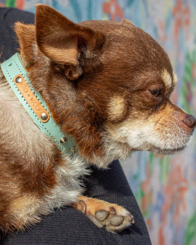 Hiro + Wolf – wholesale Pet collar – Dog – Luxury Leather Duo Tone Studded Dog Collar 'Mint + Tan'8