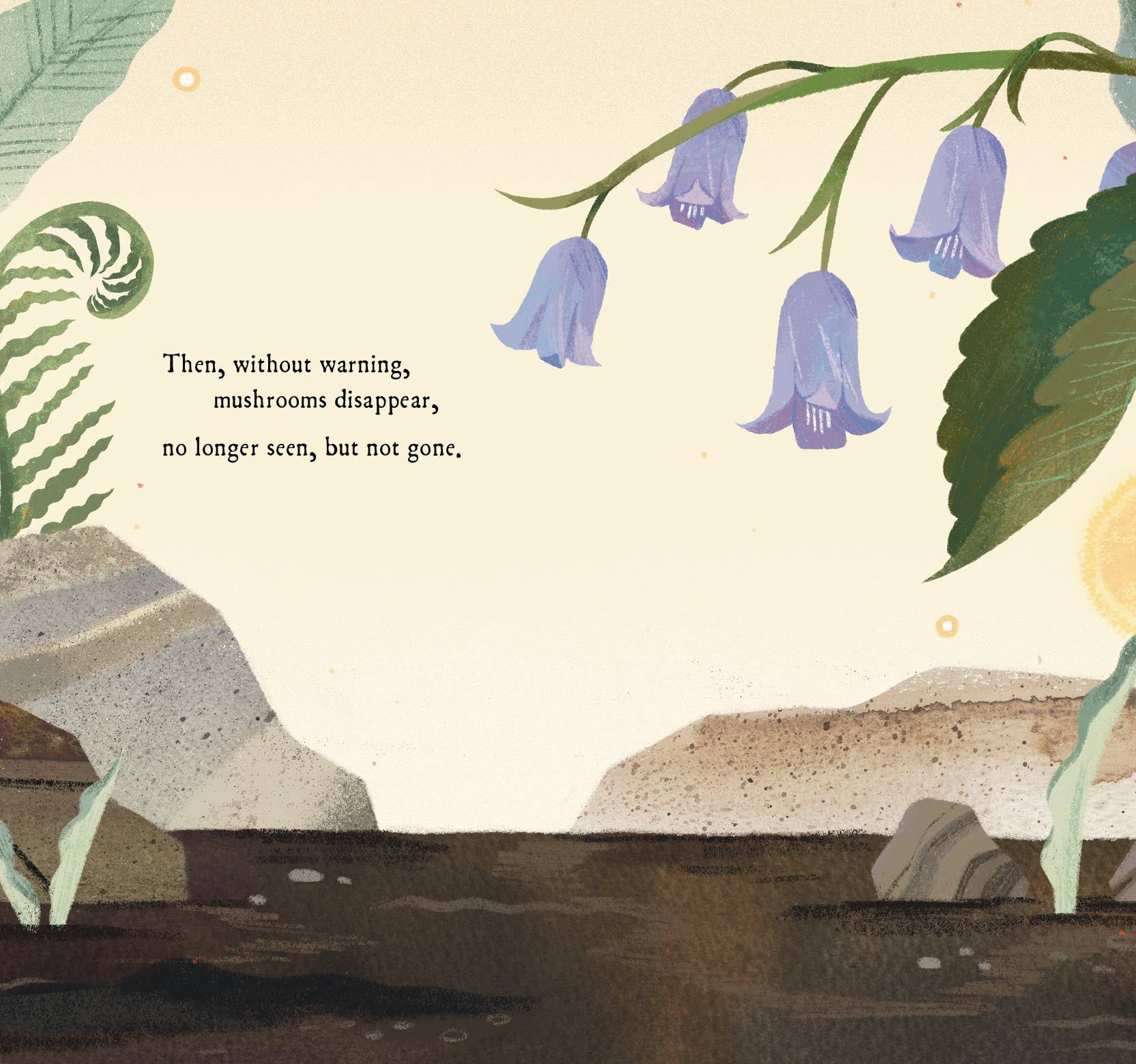 Sleeping Bear Press - Wholesale Preschool Book (3-5) - Mushroom Rain Picture Book5