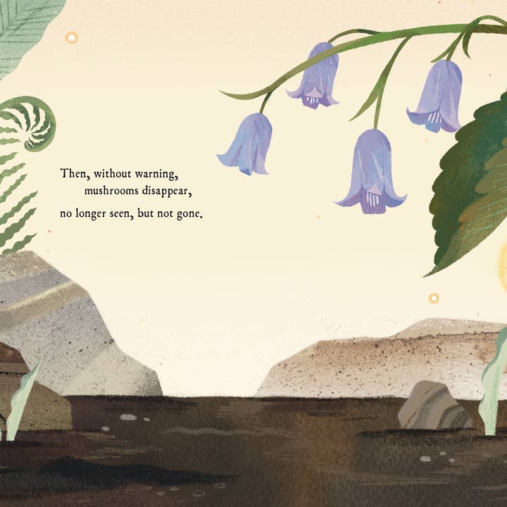 Sleeping Bear Press - Wholesale Preschool Book (3-5) - Mushroom Rain Picture Book5